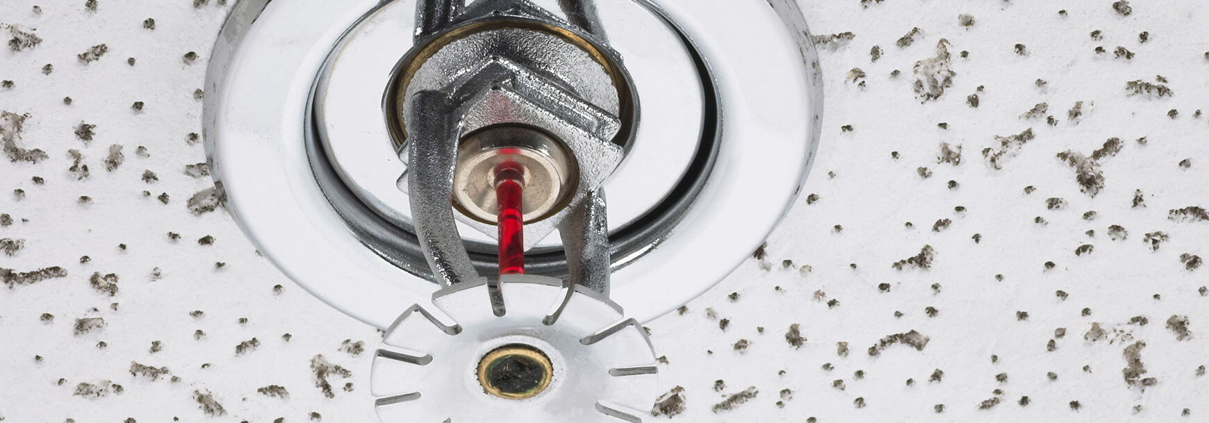 Detailaufnahme eines Sprinklerkopfes an der Decke